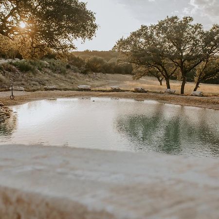 Spring Branch Nest - Texas Tiny House With A Big Viewヴィラ エクステリア 写真